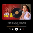 Falguni Pathak - Meri Chunar Udd Udd Jaye ( 256kbps cbr )